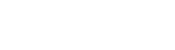 Tulpar GO